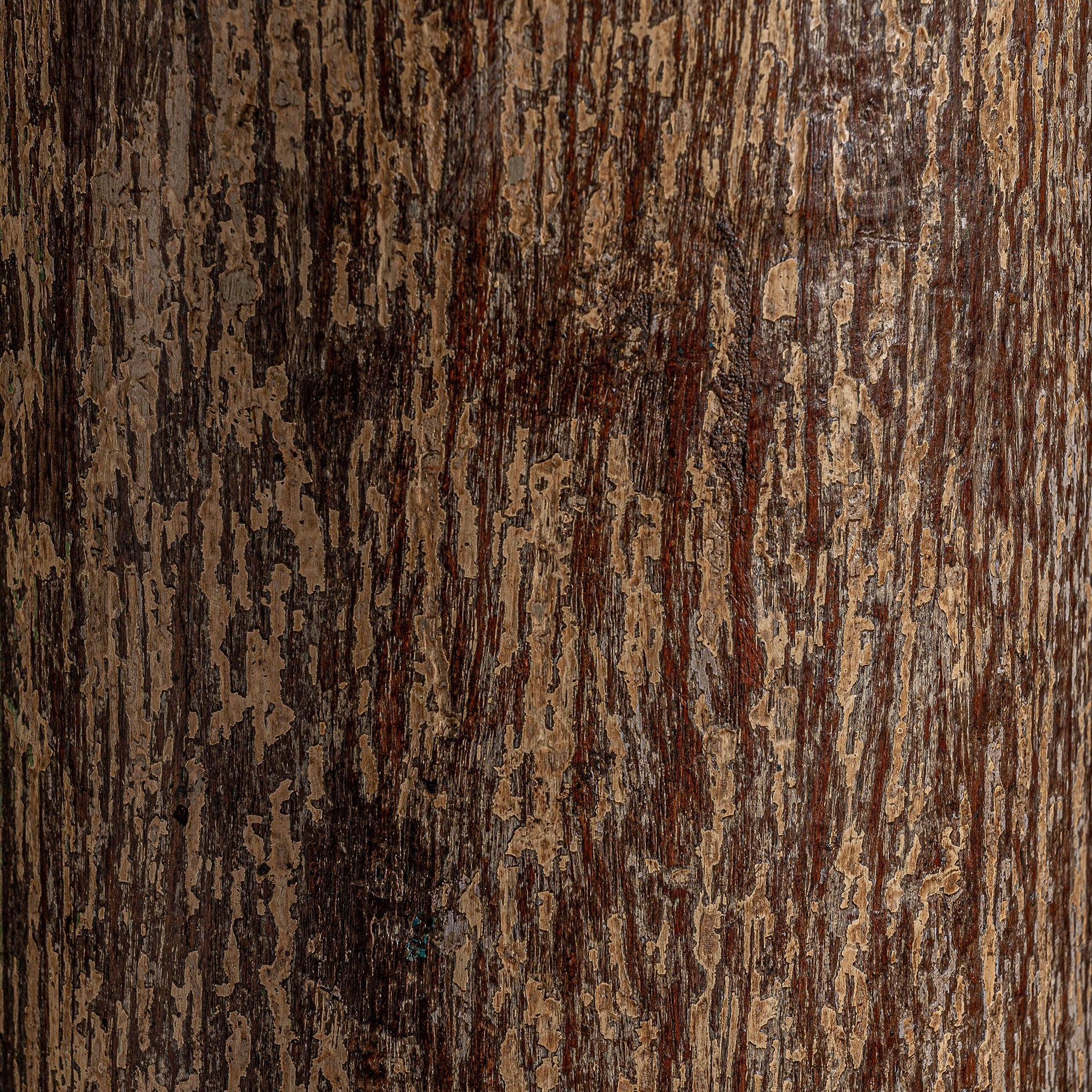 BEDA COLUMN